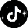 TikTok Icon